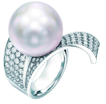 лNoble Lustre“屦”ϵ