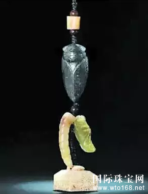 鱦̳