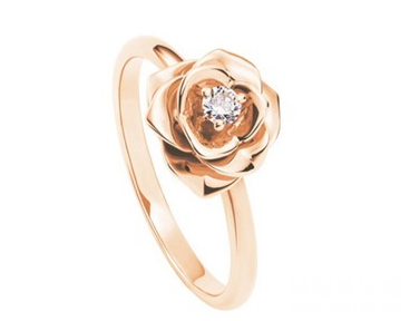 Ϧ (Piaget) õϵ鱦׸˵**֮