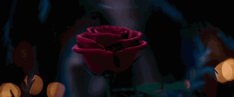 鱦Ӱ | ŮҰޡڹ*ͯ