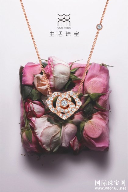  δ* | 2017Ʒ Ʒȫ