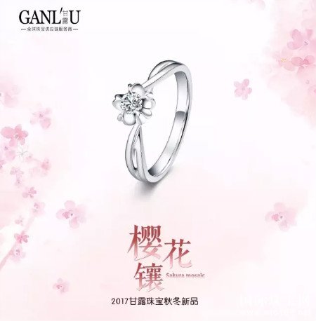 •´ح2017¶鱦ﶬƷԲɹ