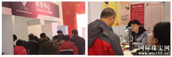 ʹ2017鱦չ