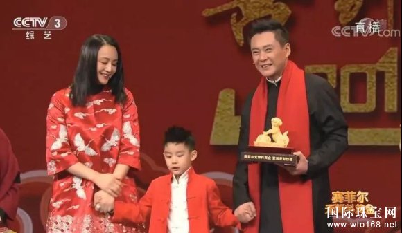 赛菲尔珠宝携手央视 明星大腕齐聚*打造*强合家欢
