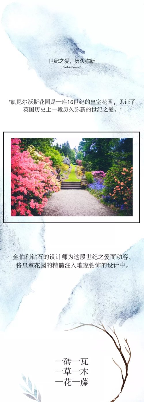 金伯利|世纪之爱 历久弥新