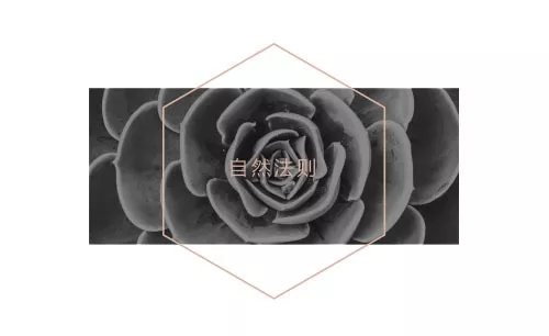 鱦Ƕϵ