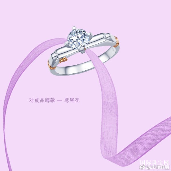 ǧ鱦ָôָʲôԢ⣿