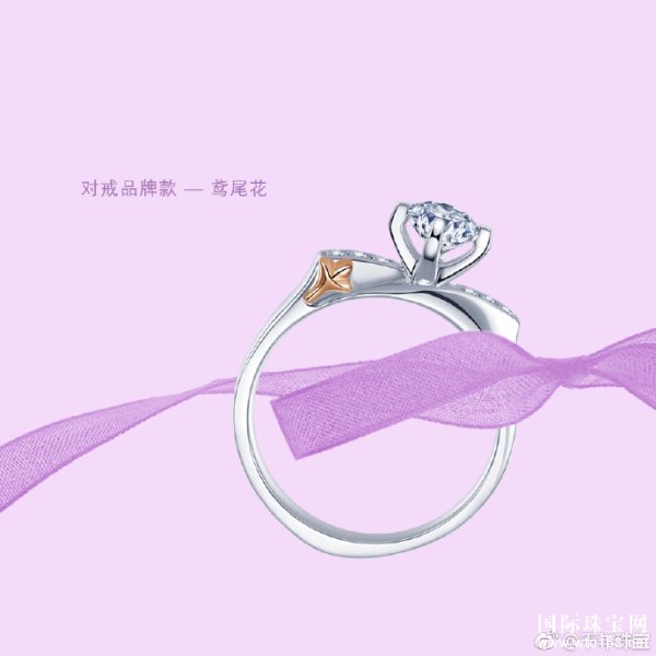 ǧ鱦ָôָʲôԢ⣿