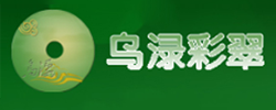 Y13578259068Ŀռ