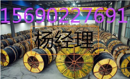 t123456Ŀռ