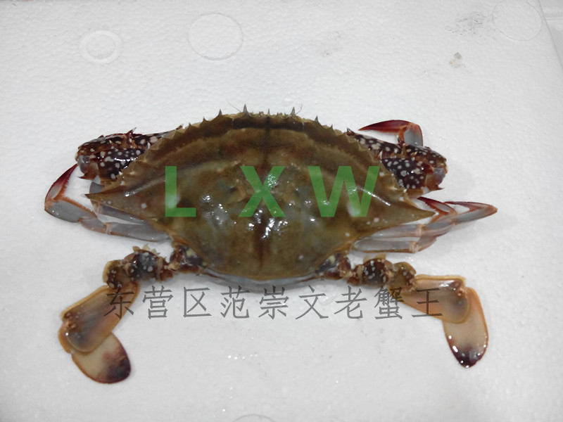 ӪззĵĿռ