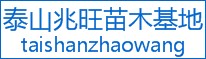 ̩ɽľصĿռ