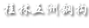 ޸ֽṹ޹˾Ŀռ