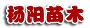 ̻ľصĿռ