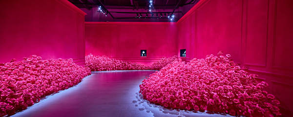 DIOR ROSE߼鱦ϵڳɶʢ󷢲