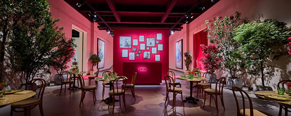 DIOR ROSE߼鱦ϵڳɶʢ󷢲