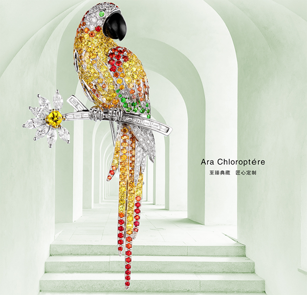 MONETA Ara Chloroptéreϵ